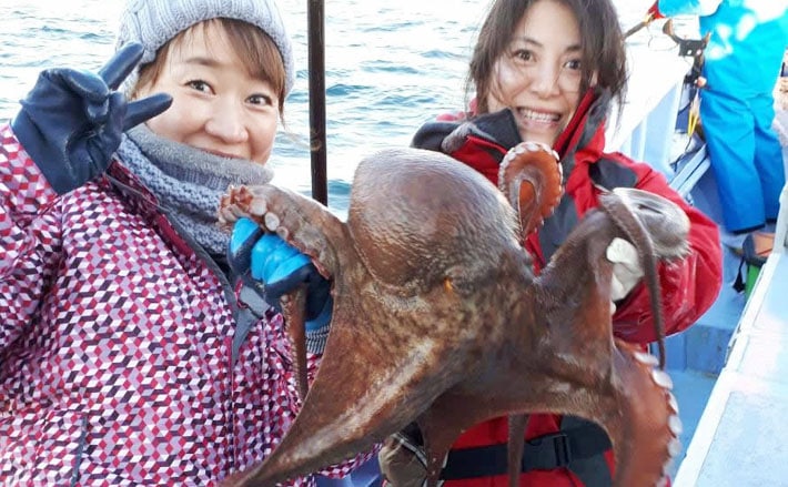 初釣りにいかが マダコ釣り初心者入門 手釣りとエギタコ釣りのキホン Tsurinews