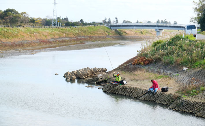 今週のヘラブナ推薦釣り場 千葉県 作田川 Tsurinews