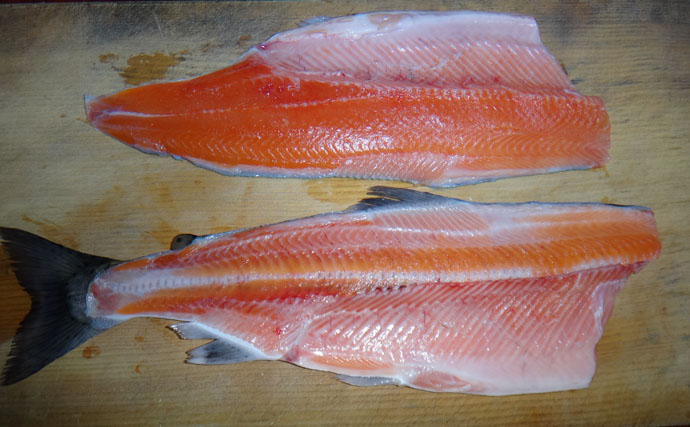 【釣果レシピ】ビワマスのお造り：準絶滅危惧種の希少魚を喰らう！