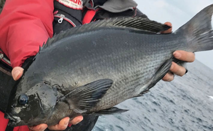 釣り人 なぜか相性がいい？ 村上晴彦と島根県浜田市 | ISSEI TIMES（イッセイ
