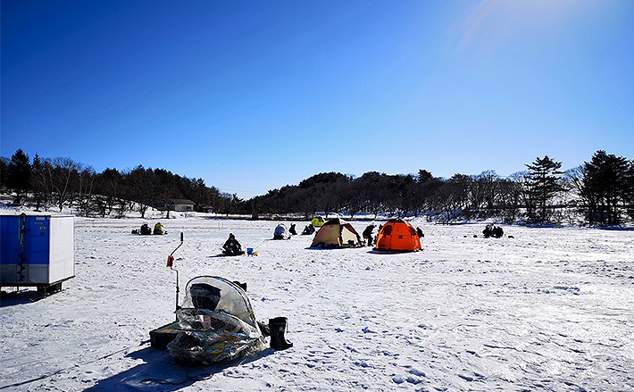 氷上ワカサギ釣り331尾 手バネ竿で挑戦！【群馬県・バラギ湖】 | TSURINEWS