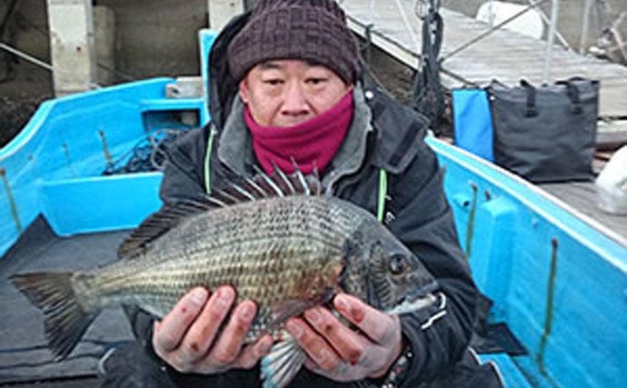 三重県イカダカカリ釣り最新釣果情報　年無しクロダイにアジ340尾！