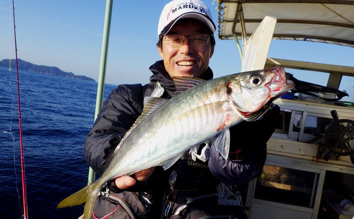 カゴテンビンで50cmギガアジ キビナゴでゲストも 徳島 日和佐 Tsurinews