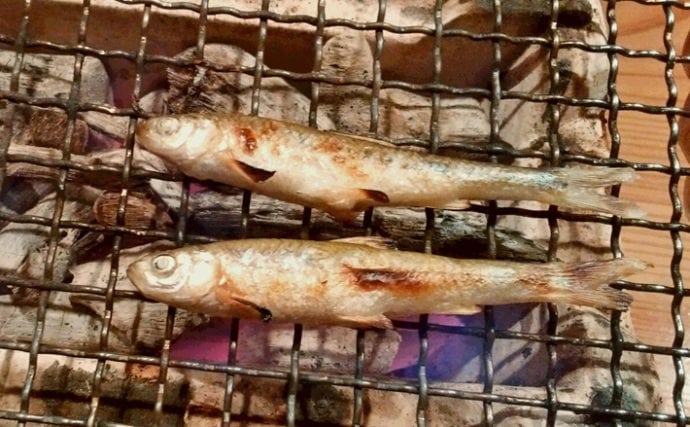琵琶湖の固有種モロコの素焼き　焼き方に一工夫　釣果料理のススメ