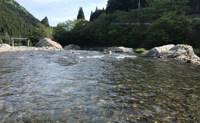 渓流解禁2019　おすすめ釣り場紹介【滋賀県・安曇川最上流部】