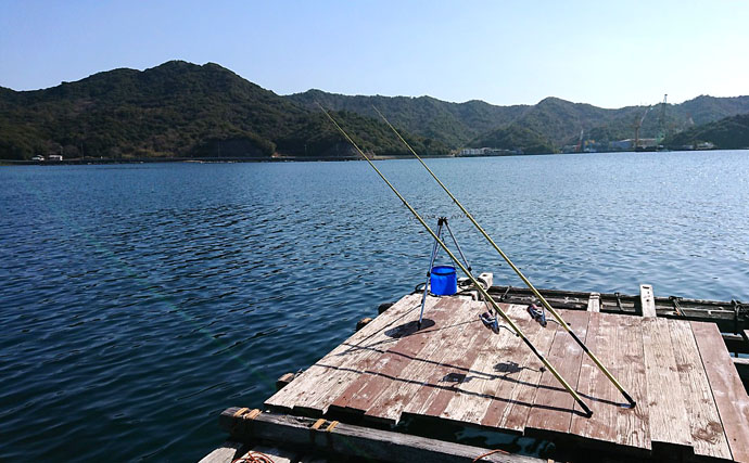 イカダから投釣りでマコガレイ　360°投げ放題【兵庫県・福良湾】