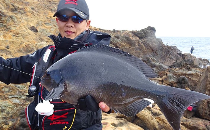 初の神子元島で42cmメジナ頭に連発 サラシ 潮目がキモ 静岡県 Tsurinews