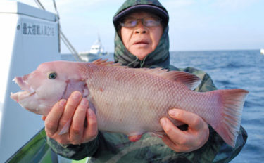 仕立てでアマダイ五目　カイワリにマアジ入れ食いも【相模湾・太平丸】