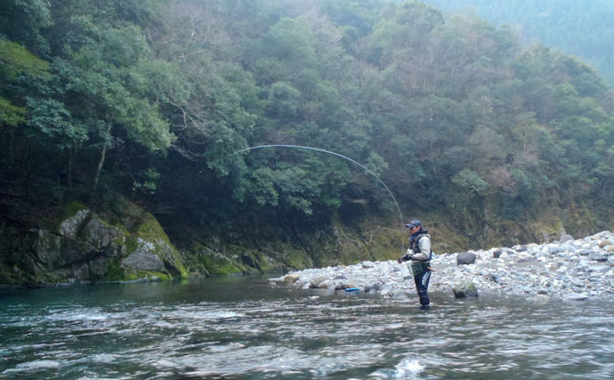 2日連続渓流エサ釣り　28cm頭にヤマメ70尾【熊本県・川辺川】