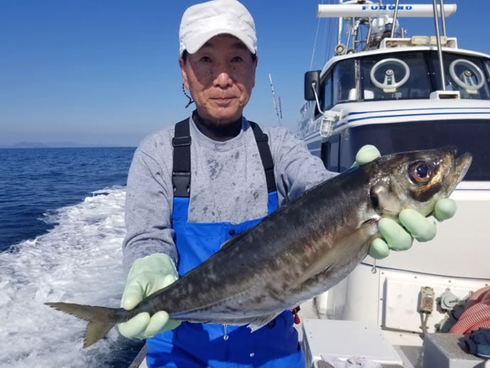 【大分＆熊本】沖釣り最新釣果　60㎝モンスターアジにメバル数釣り