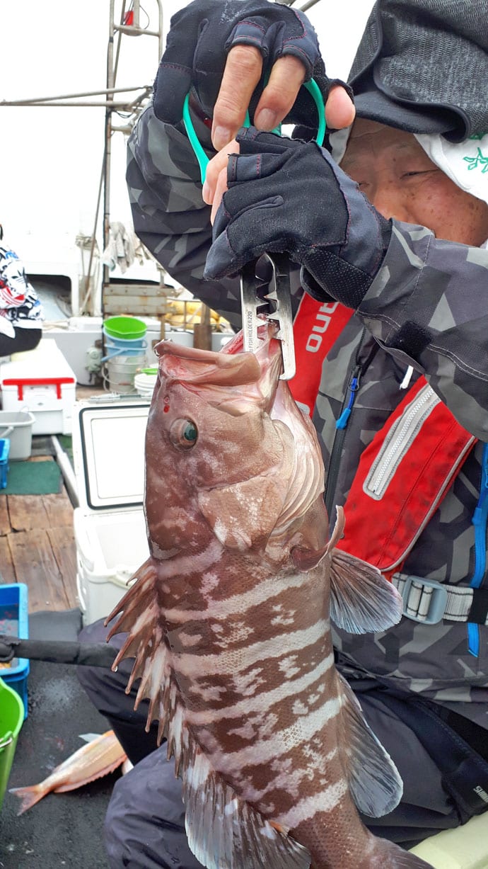 【玄界灘】エサ釣り最新釣果情報まとめ　6kg超えマダイに根魚30尾