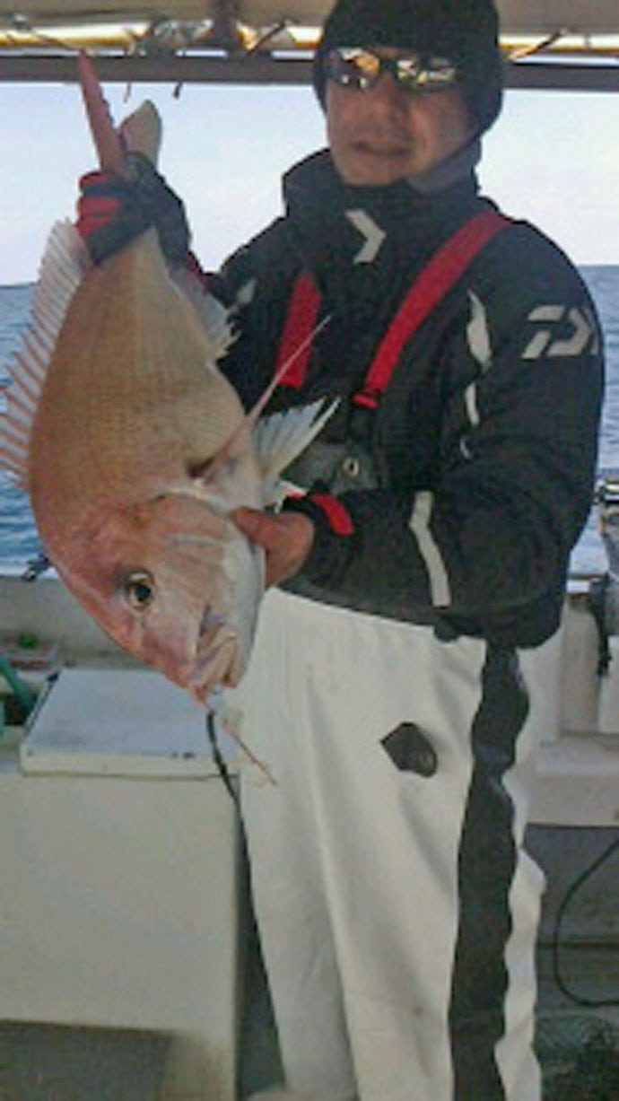 【響灘】沖でのエサ釣り最新釣果　メバル・大ダイ・イサキなど魚種多彩
