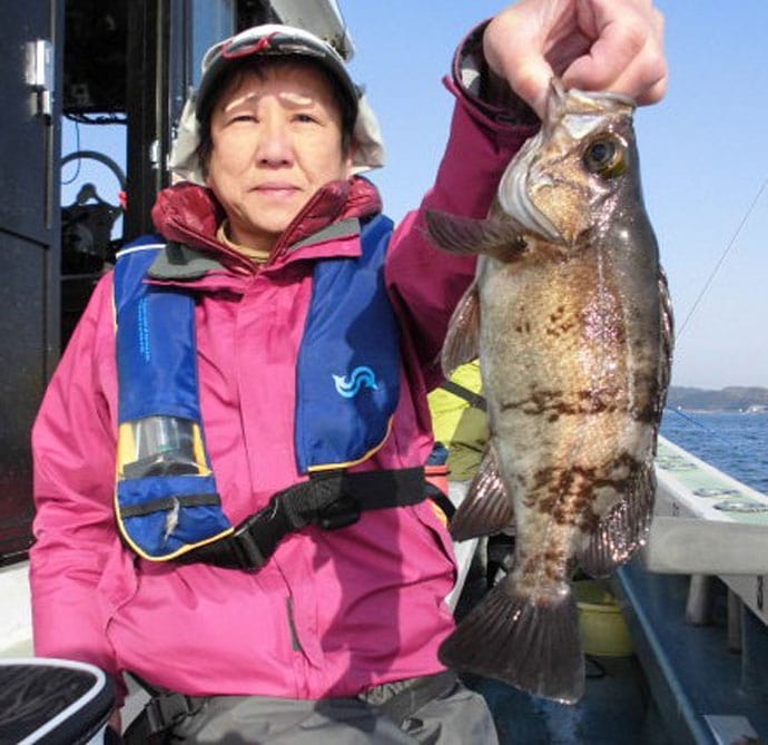 【愛知＆三重】船釣り最新釣果情報　52cmマハタにメバルと根魚好調