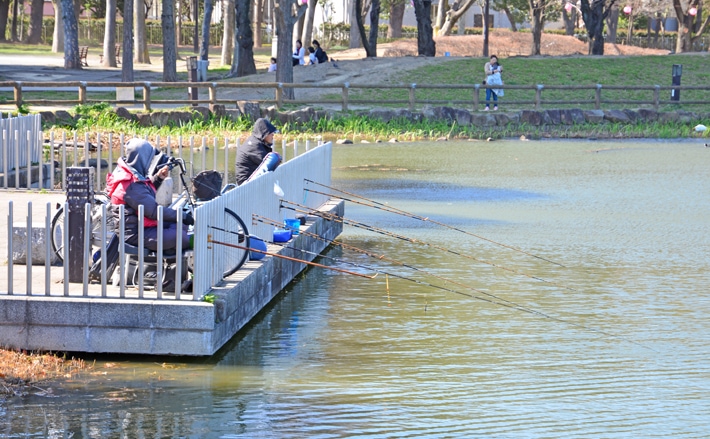 東京23区内の隠れ家的釣り場４選 Gwは公園へ日帰り電車釣行が吉 Tsurinews Part 2