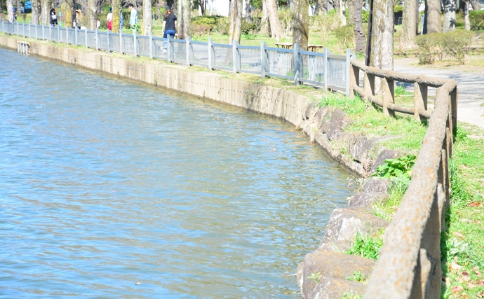 東京23区内の隠れ家的釣り場４選　GWは公園へ日帰り電車釣行が吉！