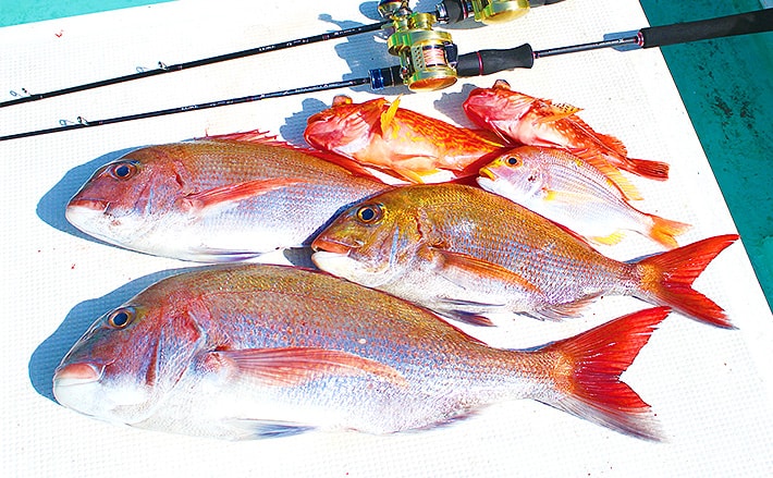 タイラバでマダイにスロージギングでワラサ＆根魚【静岡県・御前崎沖】 | TSURINEWS