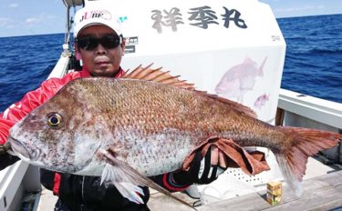 【響灘】船釣り最新釣果情報　乗っ込みマダイに13.4kgヒラマサも