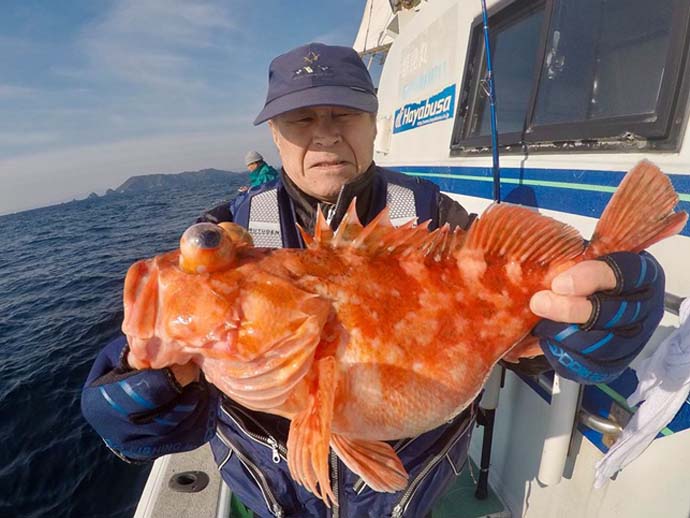 【長崎・大分・熊本】船釣り最新釣果　11kgヒラマサにメバル50尾