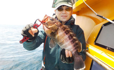 泳がせ釣りでハタ類好釣　イワシ釣れずウグイで活きエサ代用が的中