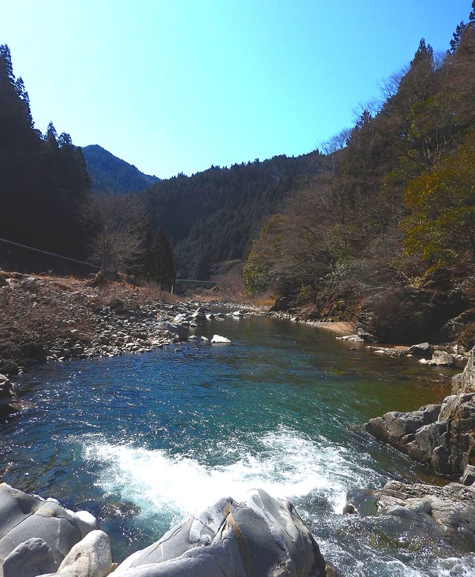 渓流ルアーで価値ある本命アマゴ　ランガンが吉【愛知県・大入川水系】