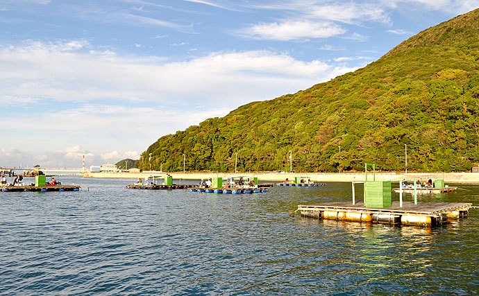 和歌山県のおすすめチヌかかり釣り場５選　お気に入り釣り場を作ろう