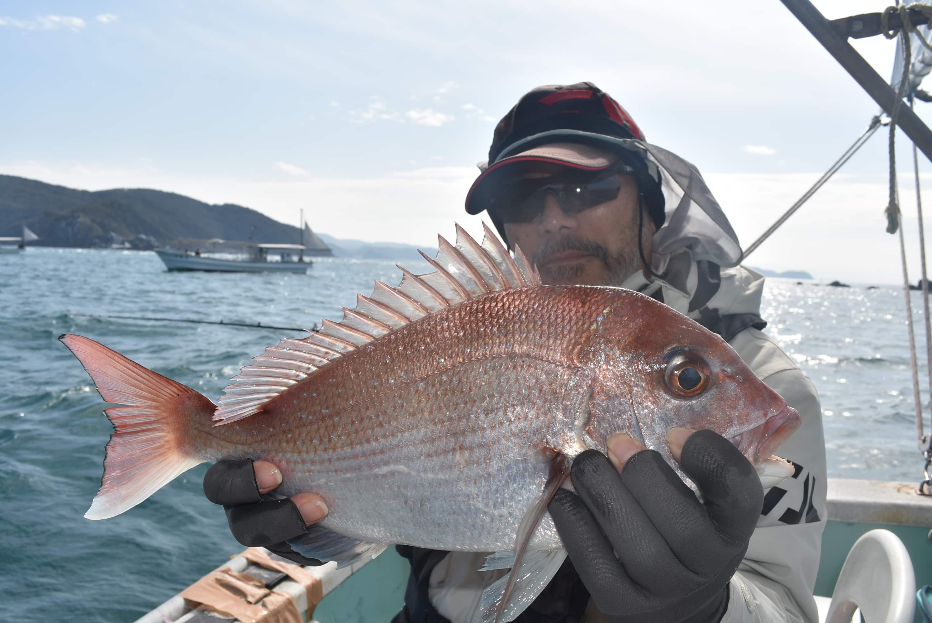 伝統釣法 高仕掛け 高道具 で釣る桜鯛 和歌山県 加太沖 Tsurinews Part 2