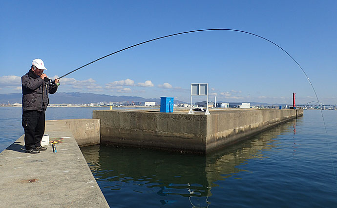 エビまき釣り名手のこだわりタックルをのぞき見してみた【大阪北港】