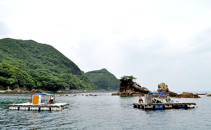 和歌山県のおすすめチヌかかり釣り場５選　お気に入り釣り場を作ろう