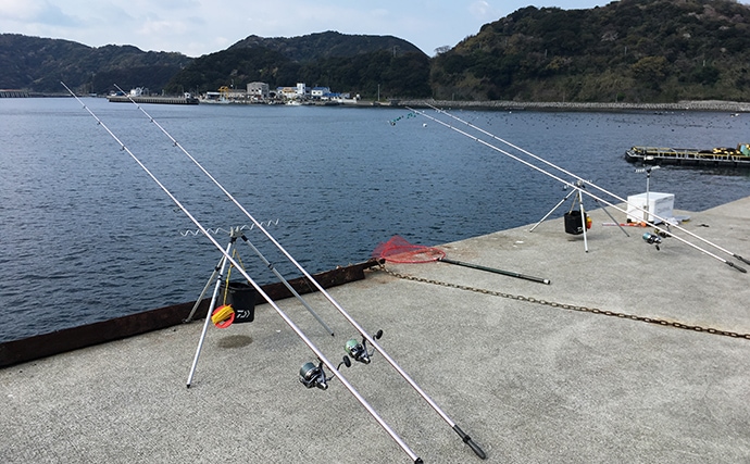 波止の投げ釣りで29cmカワハギ　ノマセ釣りも【愛媛県・宇和島】