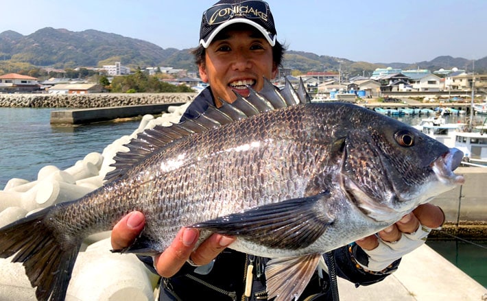 波止フカセ釣りで本命45㎝チヌ 70㎝超コブダイも【兵庫・森漁港