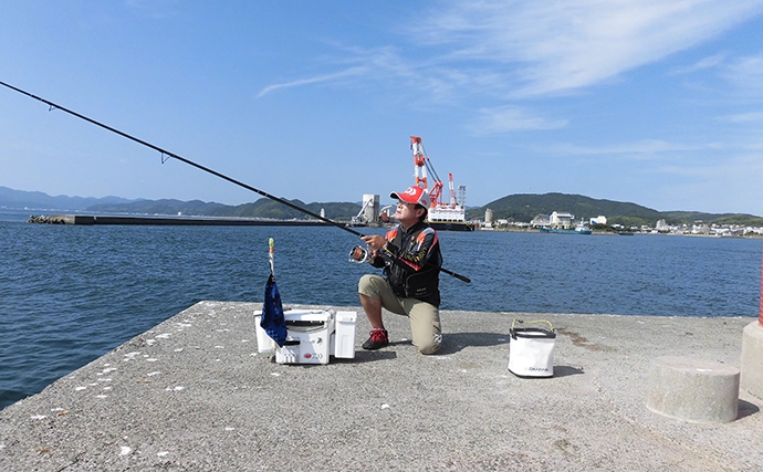 【兵庫県】初夏のキス狙い投げ釣り場５選　初心者からベテランまでOK