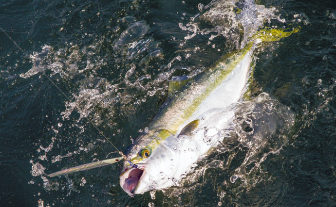 ルアーフィッシング初心者にありがちな魚をバラす４つの理由と対処法
