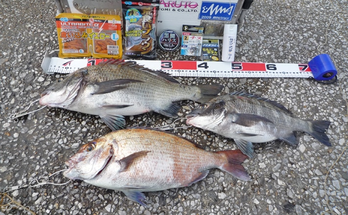 チヌ、マダイ釣りの本　7冊おまとめ チヌ、マダイ釣りの本 7冊おまとめ - メルカリ