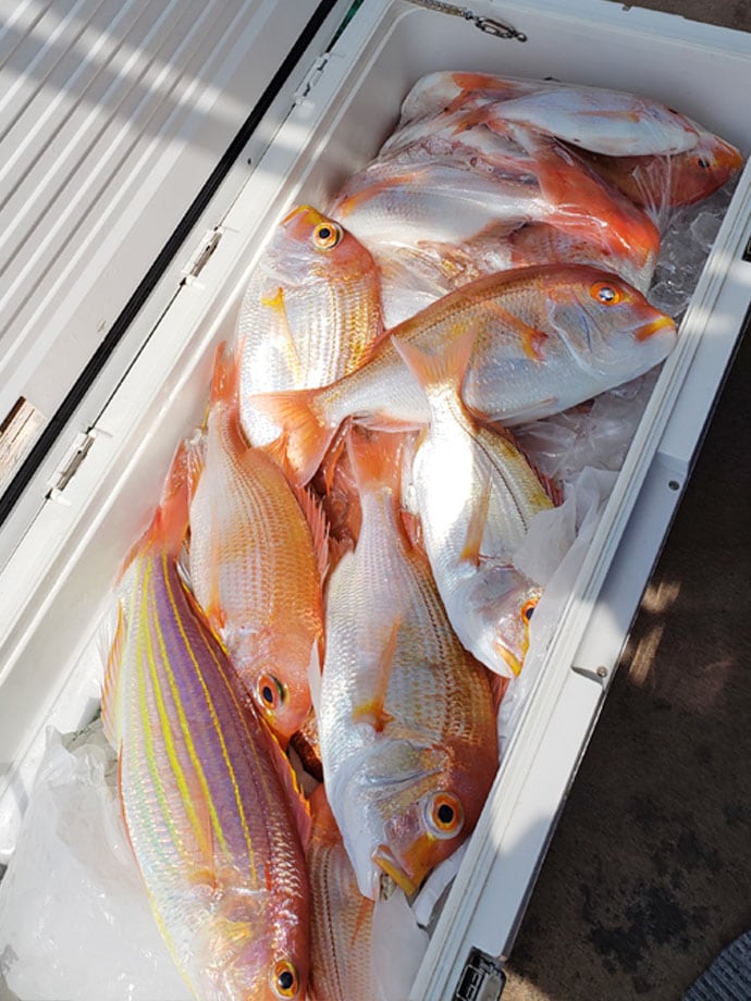 【玄界灘】沖のエサ釣り最新釣果　6kgタカバ（マハタ）に大アマダイ
