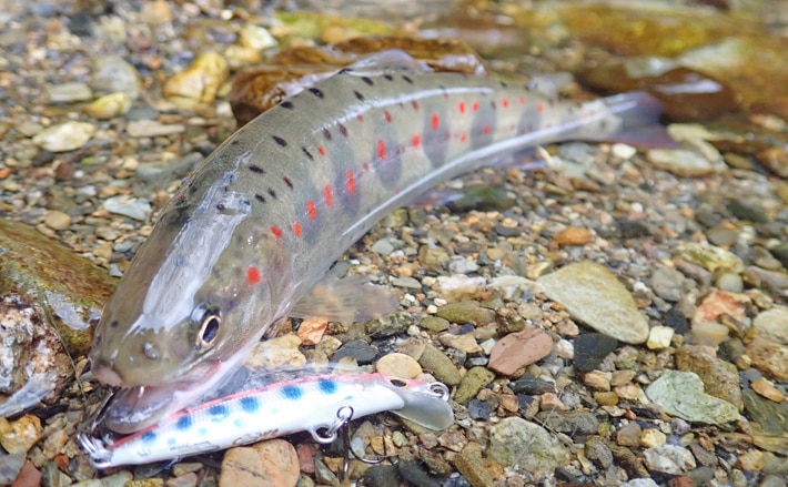 20190516KS001.jpg