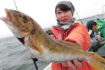 【愛知県】船釣り最新釣果　特大サイズのアイナメにサワラなど魚種豊富