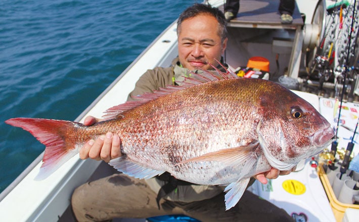 日本海マダイ＆青物ハイシーズン突入 大ダイ連発にワラサも【福井県