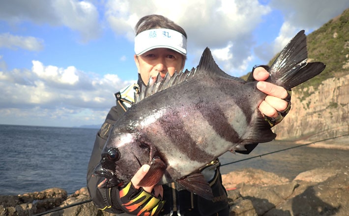 赤貝エサで2kg級イシダイ サンノジ釣れたら本命リーチ？【鹿児島】 | TSURINEWS