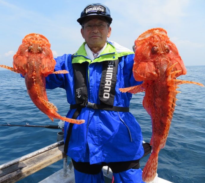 【三重県】船釣り最新釣果情報　デカアオリにオニカサゴ船中25尾！
