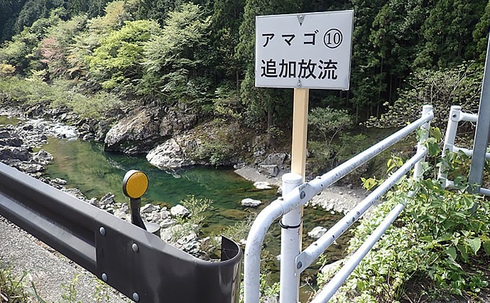 渓流ルアー釣行で20cm頭に19匹　「流れある場所」がキモ【奈良】