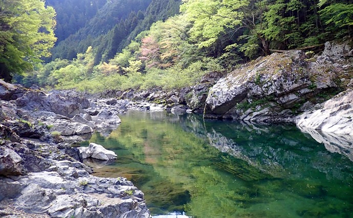 渓流ルアー釣行で20cm頭に19匹　「流れある場所」がキモ【奈良】