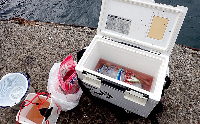 大阪湾の波止サビキ釣り解説　豆アジを1時間で100匹釣る方法！