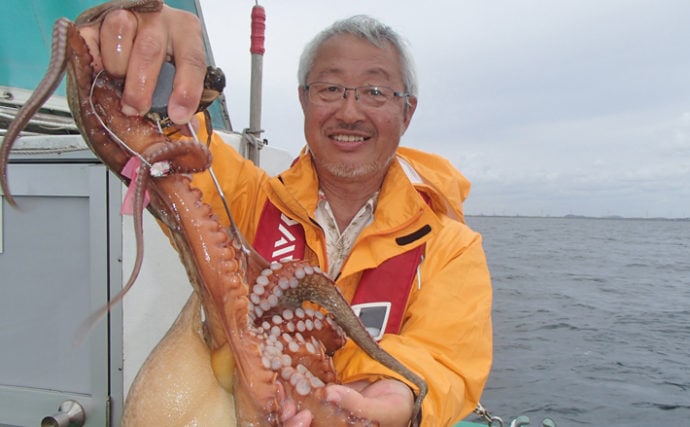 東京湾マダコテンヤ釣行でトップ7匹　持ち物はゴム手袋とクーラーのみ