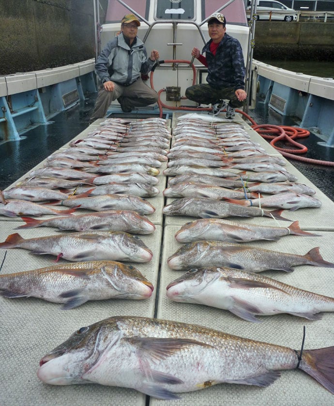 【玄海灘】沖釣り釣果速報　タイラバでマダイ数釣りに1kg超イサキも