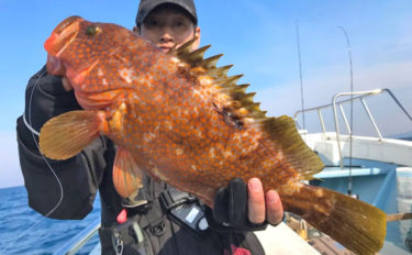 【愛知県】船釣り釣果速報　スーパーライトジギングでハタ類好調！