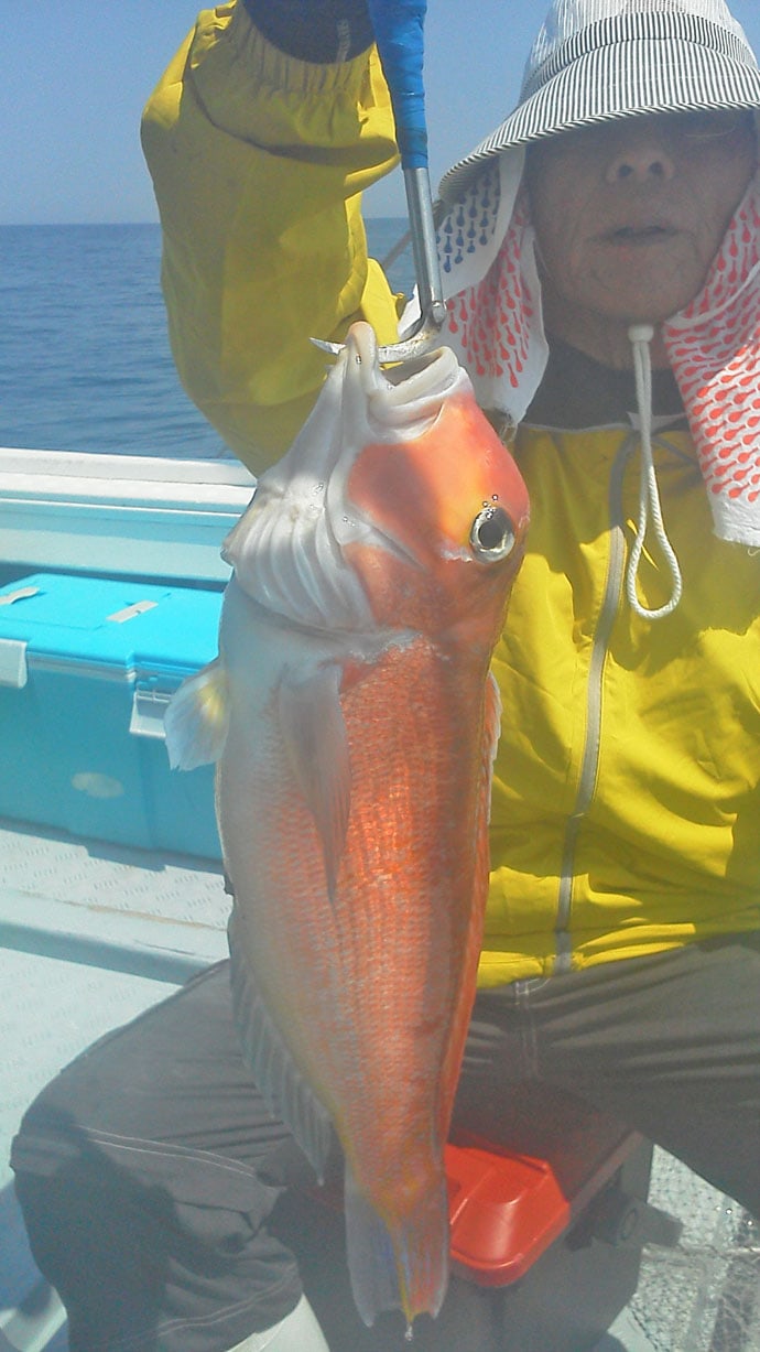 【玄海灘】船釣り最新釣果情報　大ダイに1kg超イサキ数釣り！