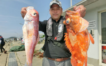 【玄界灘】沖釣り釣果速報　35kg特大アラなど多様な魚種でクーラー満タン