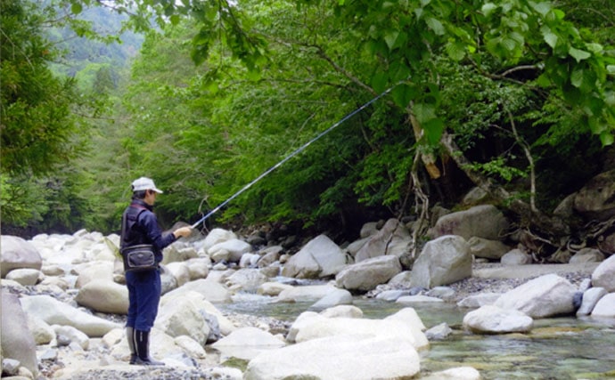 新緑の中での渓流釣りでニジマス・アマゴ・イワナ3目達成！【野洲川】