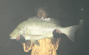 バスロッドを流用できる海での陸っぱり釣り　3つの番手ごとに紹介