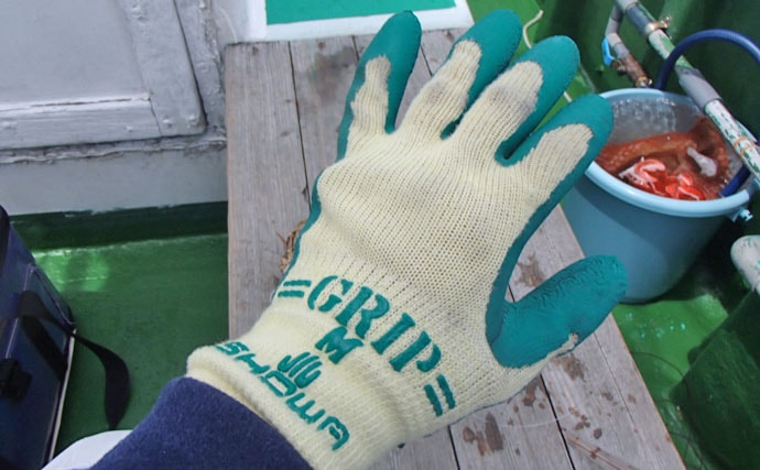 東京湾マダコテンヤ釣行でトップ7匹　持ち物はゴム手袋とクーラーのみ